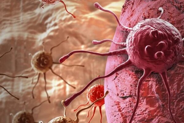 Bağışıklık sistemi uzmanları, kanserle savaşta kritik rol oynayan hücreleri tespit etti.