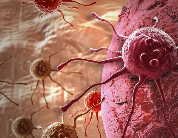 Bağışıklık sistemi uzmanları, kanserle savaşta kritik rol oynayan hücreleri tespit etti.