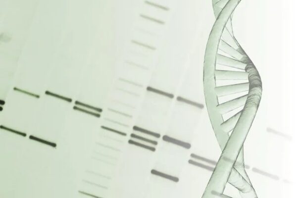 DNA Script, Hindistan’da Imperial Life Sciences ile anlaşarak DNA sentezi hizmetlerini genişletiyor.