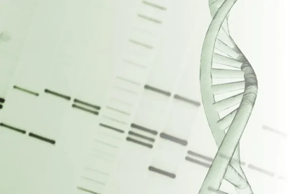 DNA Script, Imperial Life Sciences ile distribütörlük anlaşması yaparak Hindistan’da talep üzerine DNA sentezi erişimini genişletiyor.
