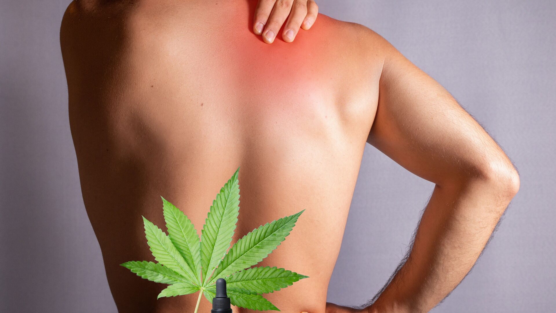 VER-01, kronik ağrı tedavisinde cannabis’in rolünü değiştirebilir mi?