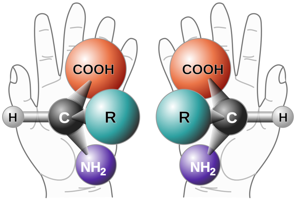 Şiralite illustration
