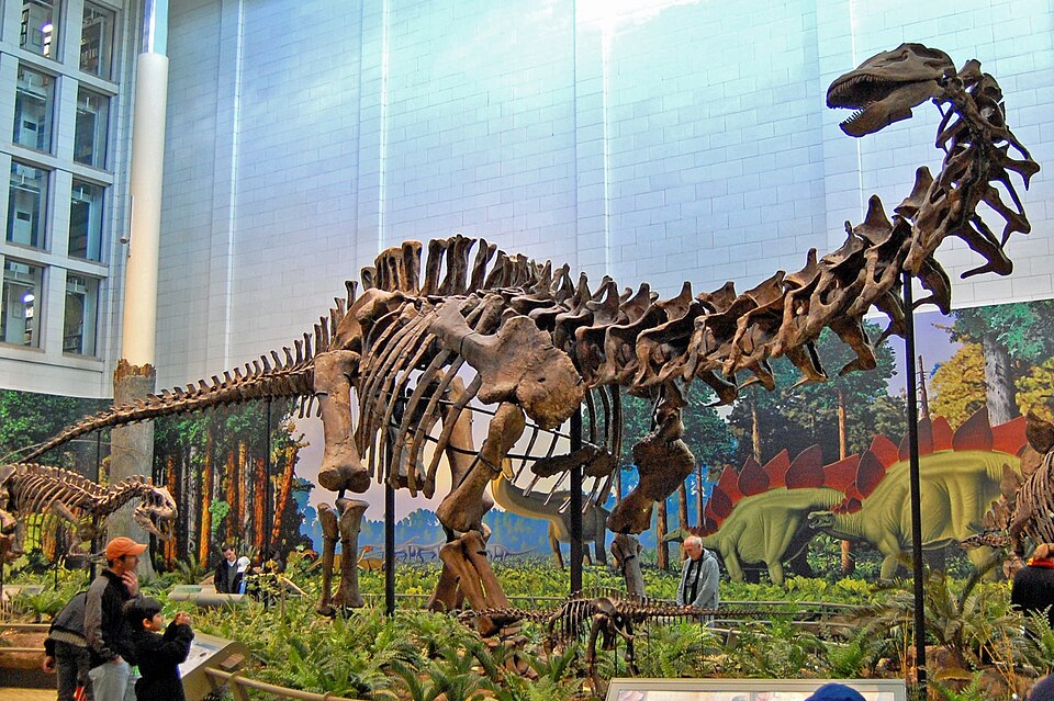 Sauropod görseli