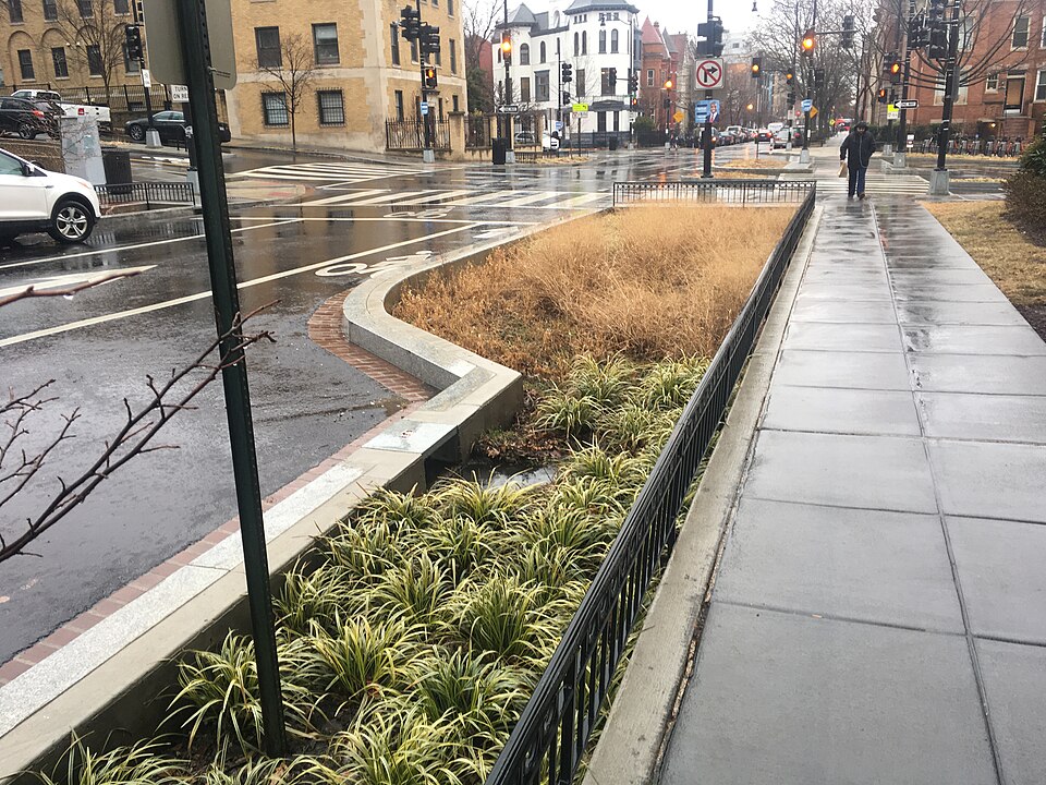 Green Infrastructure illustration