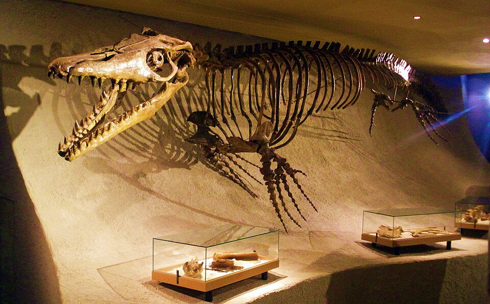 Mosasaurlar görseli