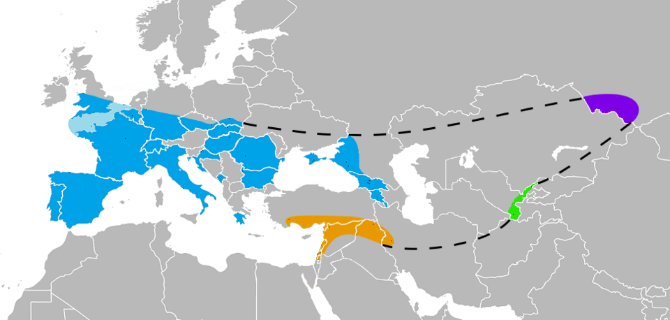 Neandertaller görseli