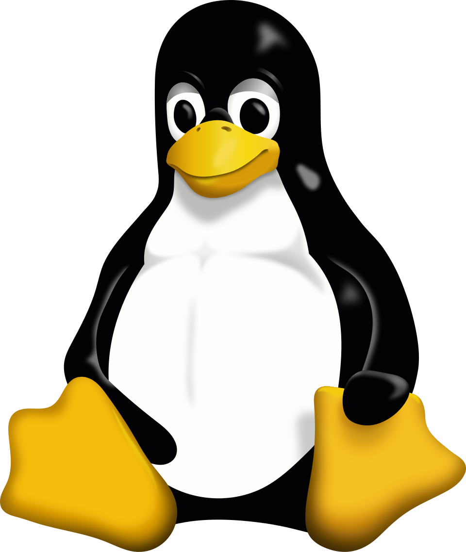 Linux çekirdeği görseli