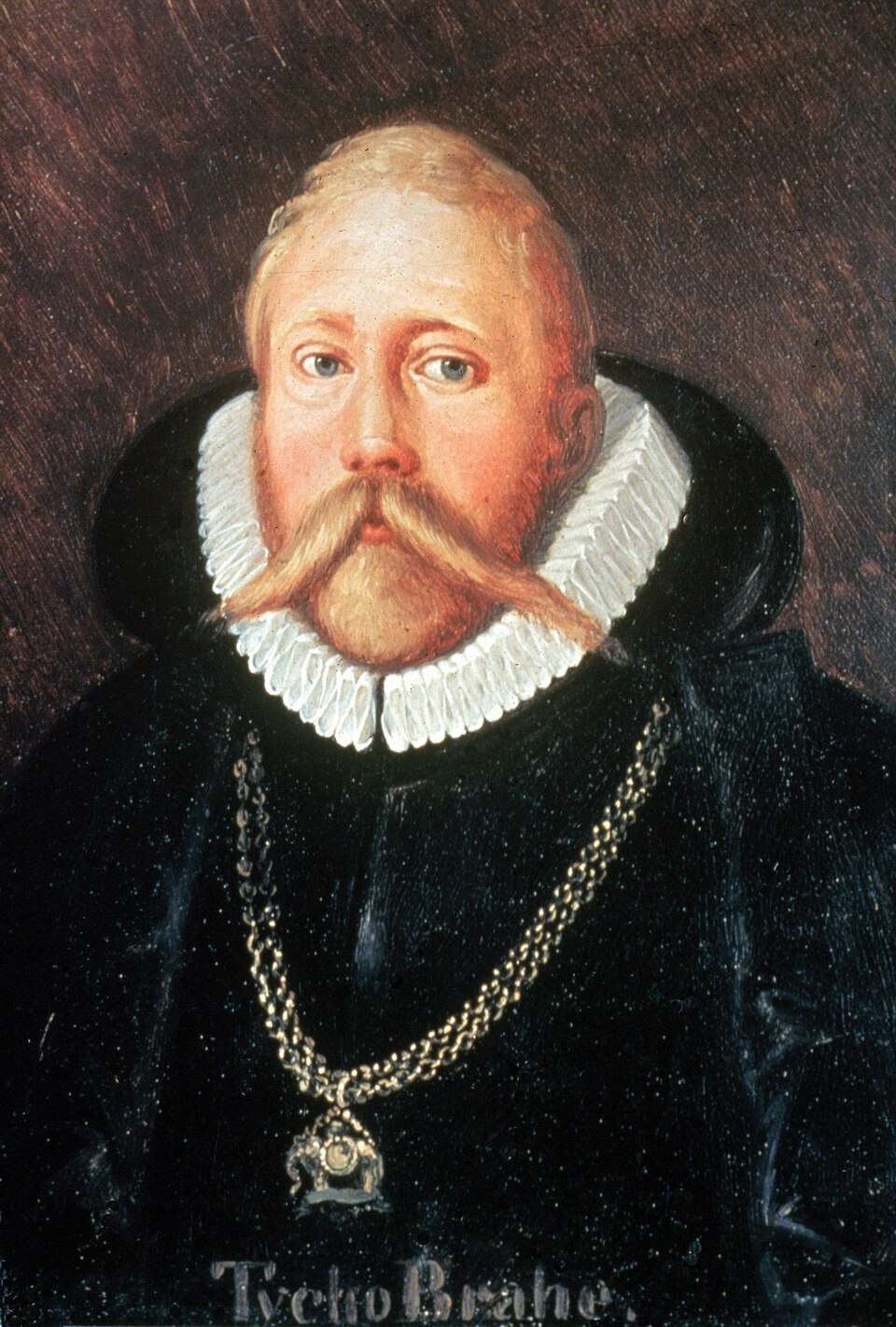 Tycho Brahe görseli
