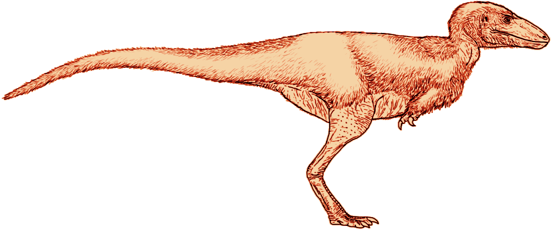 Alectrosaurus size chart reconstruction by Tom Parker.