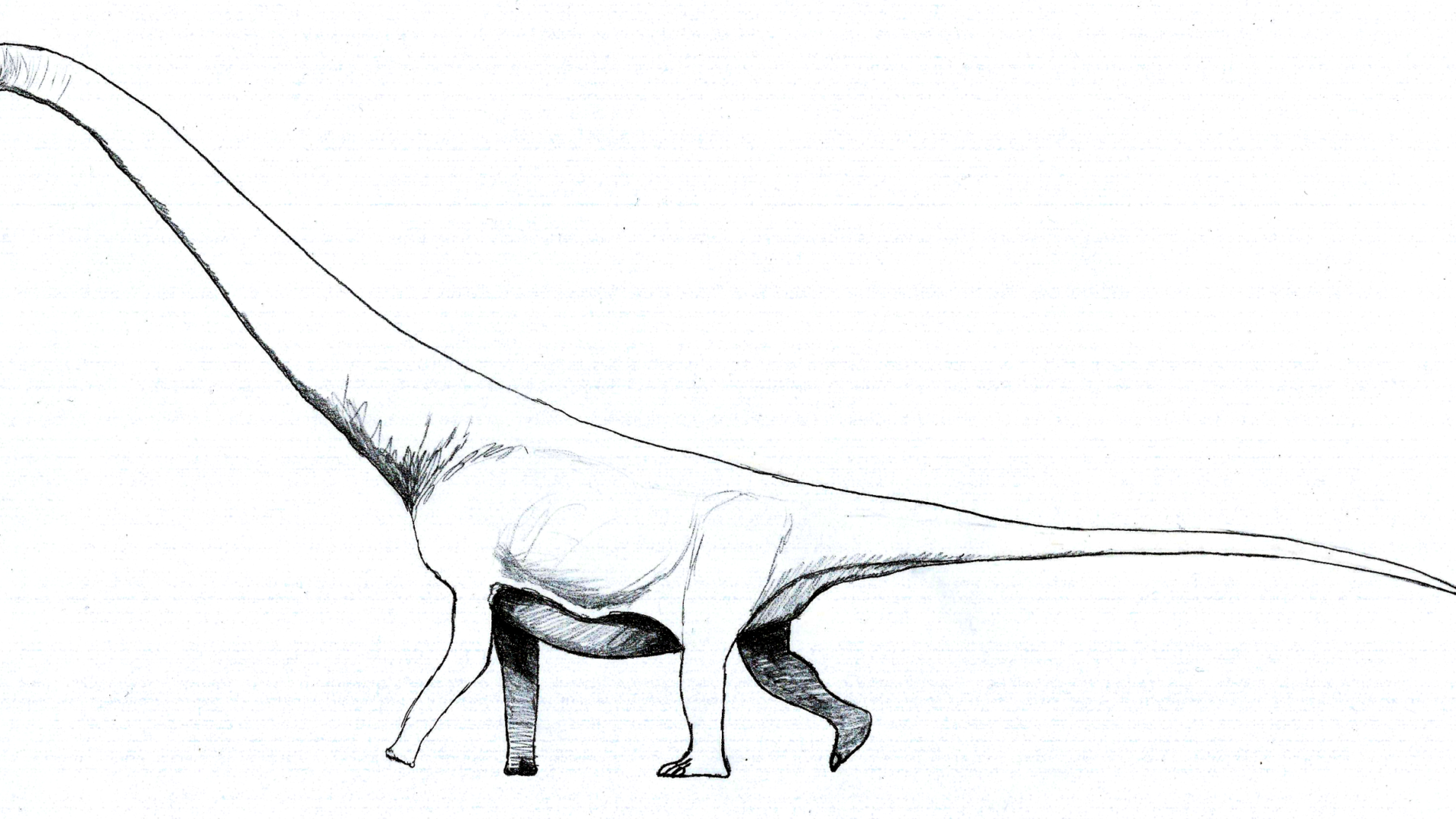 Mesetasaurus protector Nedir?