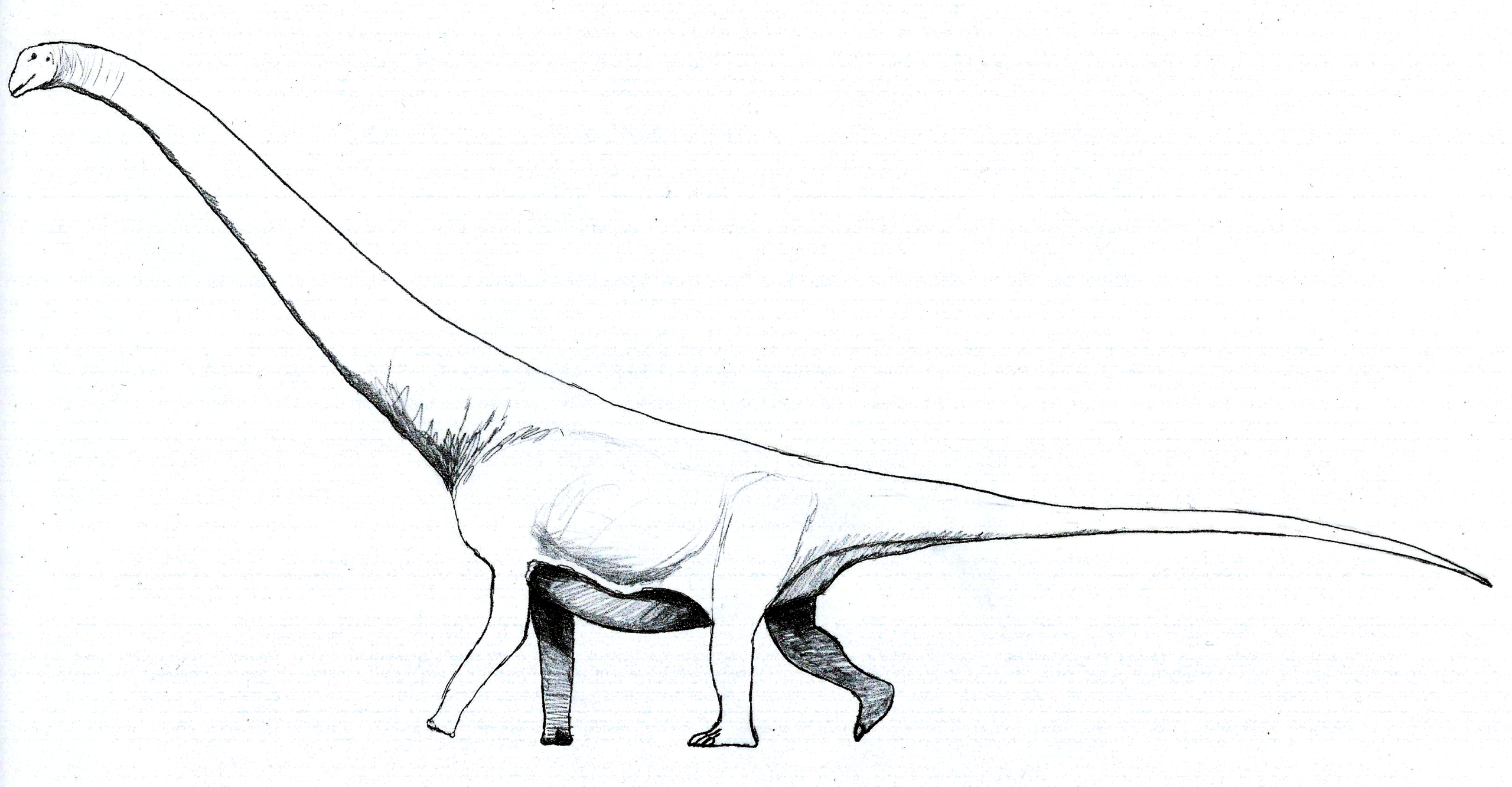 Life restoration of Andesaurus.