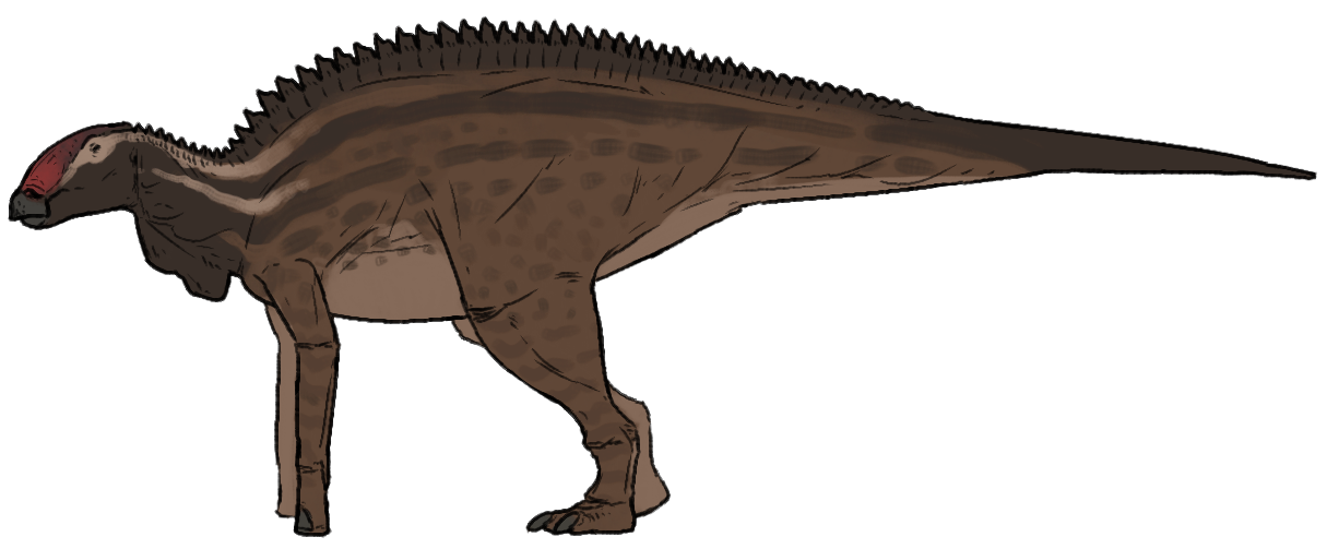 Life reconstruction of Brachylophosaurus canadensis