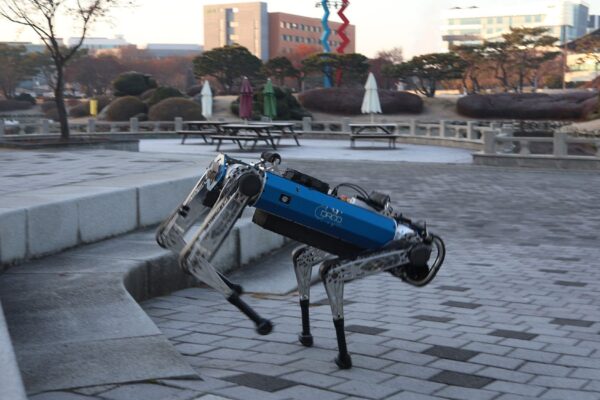 Robot köpek, yeni yapay zeka eğitim tekniği sayesinde merdiven çıkabiliyor, ormanda yol buluyor ve engelleri aşabiliyor.