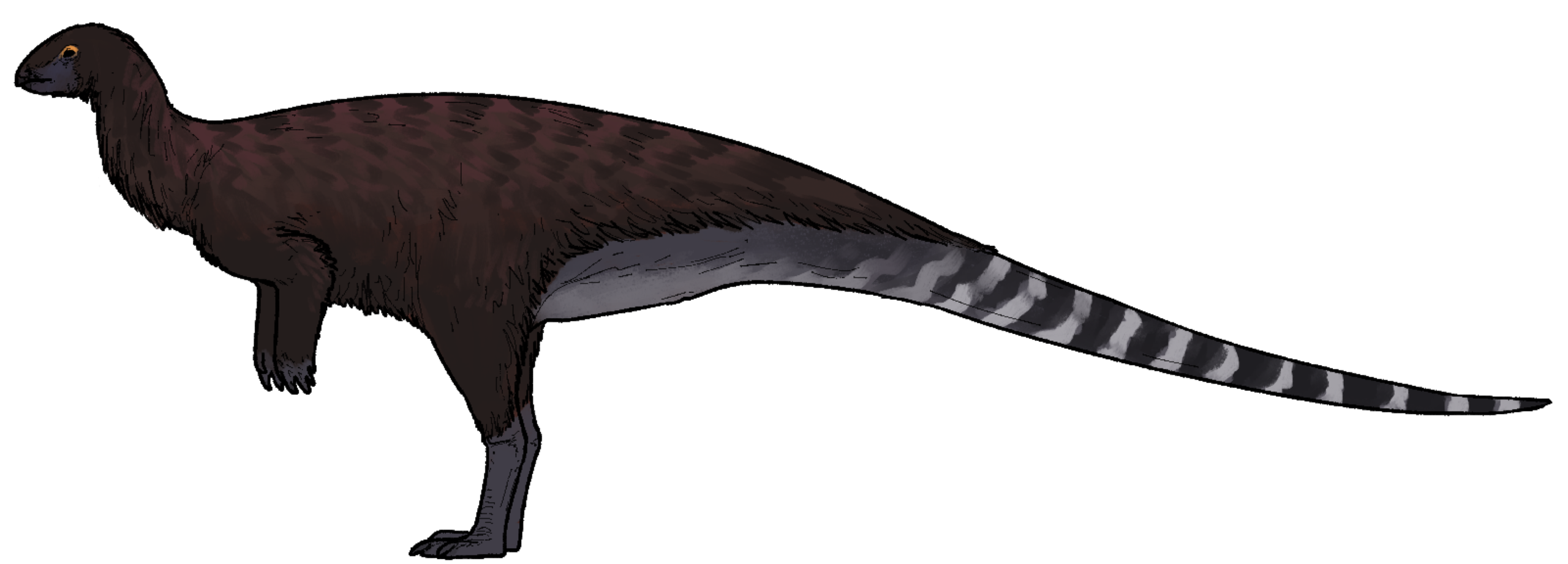 Life reconstruction of Chakisaurus nekul