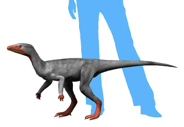 Life reconstruction of Eoraptor lunensis