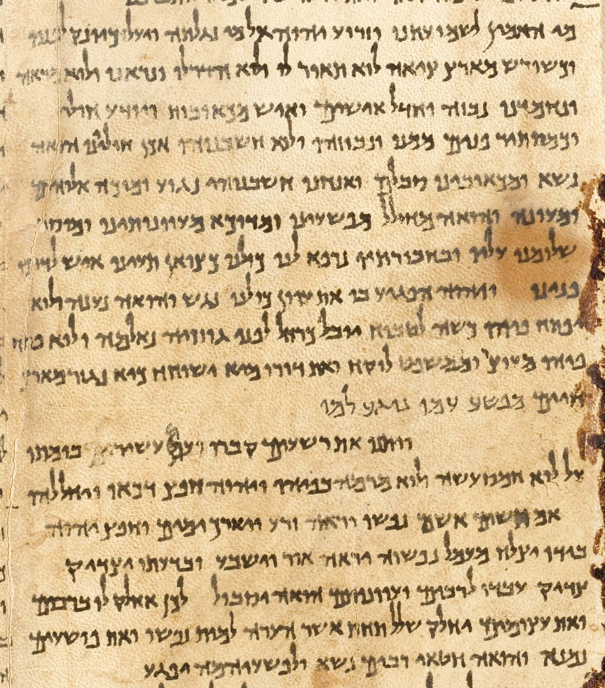 Portion of a photographic reproduction of the Great Isaiah Scroll, the best preserved of the bibl...