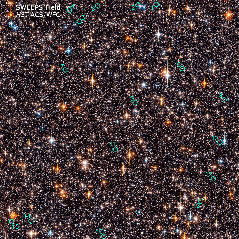NASA's Hubble Space Telescope has discovered 16 extrasolar planet candidates orbiting a variety o...
