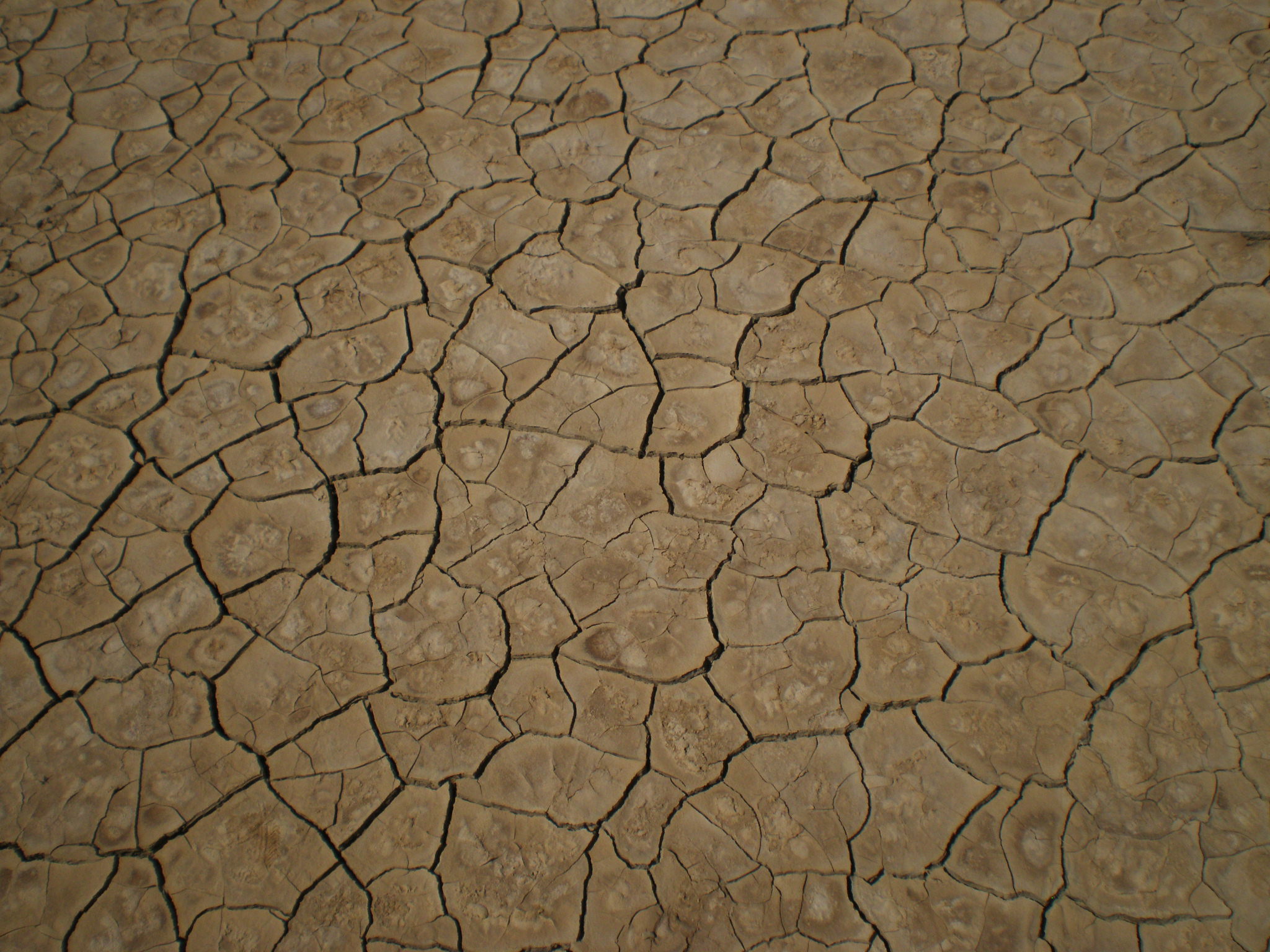 Drought