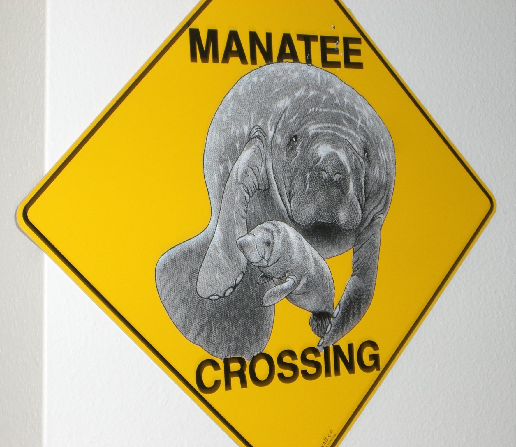 Manatee Crossing Sign from South Florida Museum