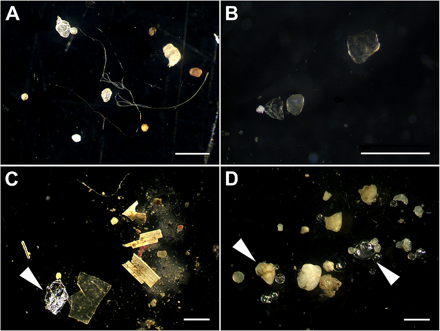 Microplastics illustration