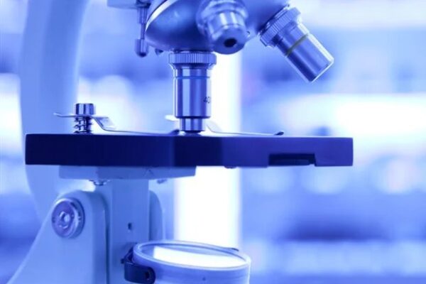 Deniz salyangırının zehrinden elde edilen yeni peptid, opioid içermeyen ağrı kesici olarak umut vadediyor.