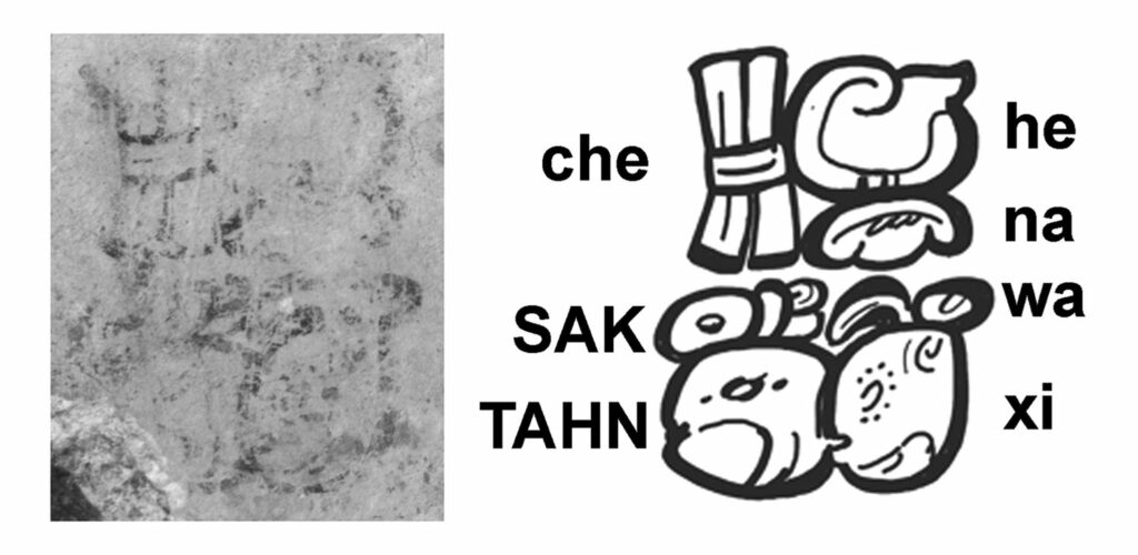 Name signs of Maya astronomer White-chested Fox