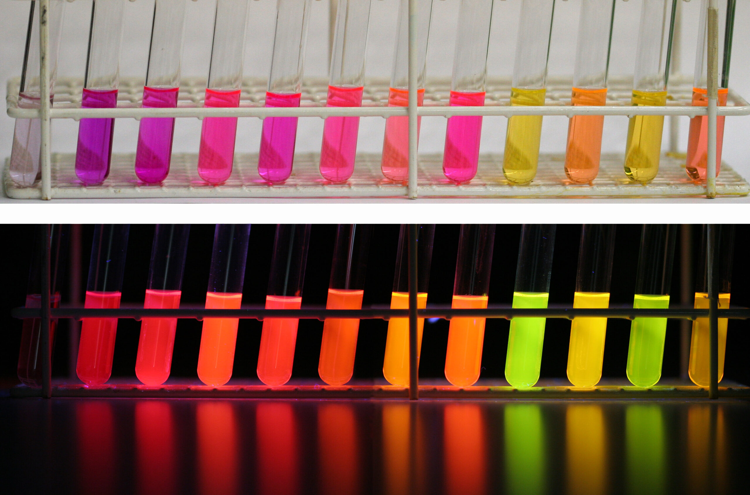 Nile red at daylight (top row) and UV-light (second row) in different solvents. From left to righ...