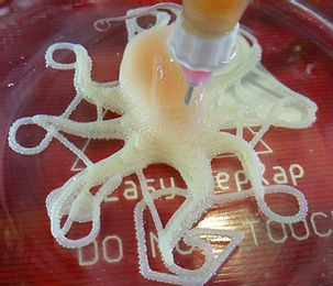 Soft robots require new manufacturing techniques, thus, we use our own custom built 3D printers t...