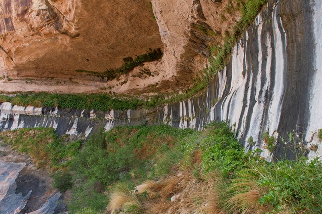 Water seeps from base of permeable sandstone at contact with impermeable shale.