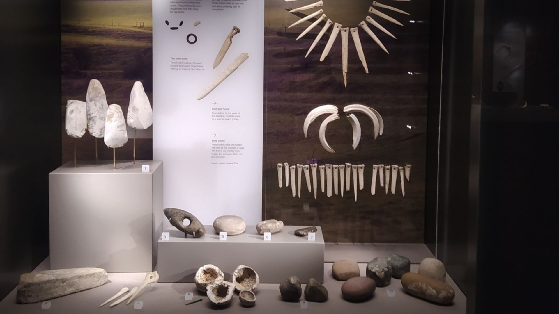 DNA analizi şoku: Bronz Çağı’na ait olduğu düşünülen şaman aslında bir kadındı.