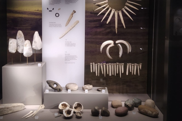 DNA analizi şoku: Bronz Çağı’na ait olduğu düşünülen şaman aslında bir kadındı.