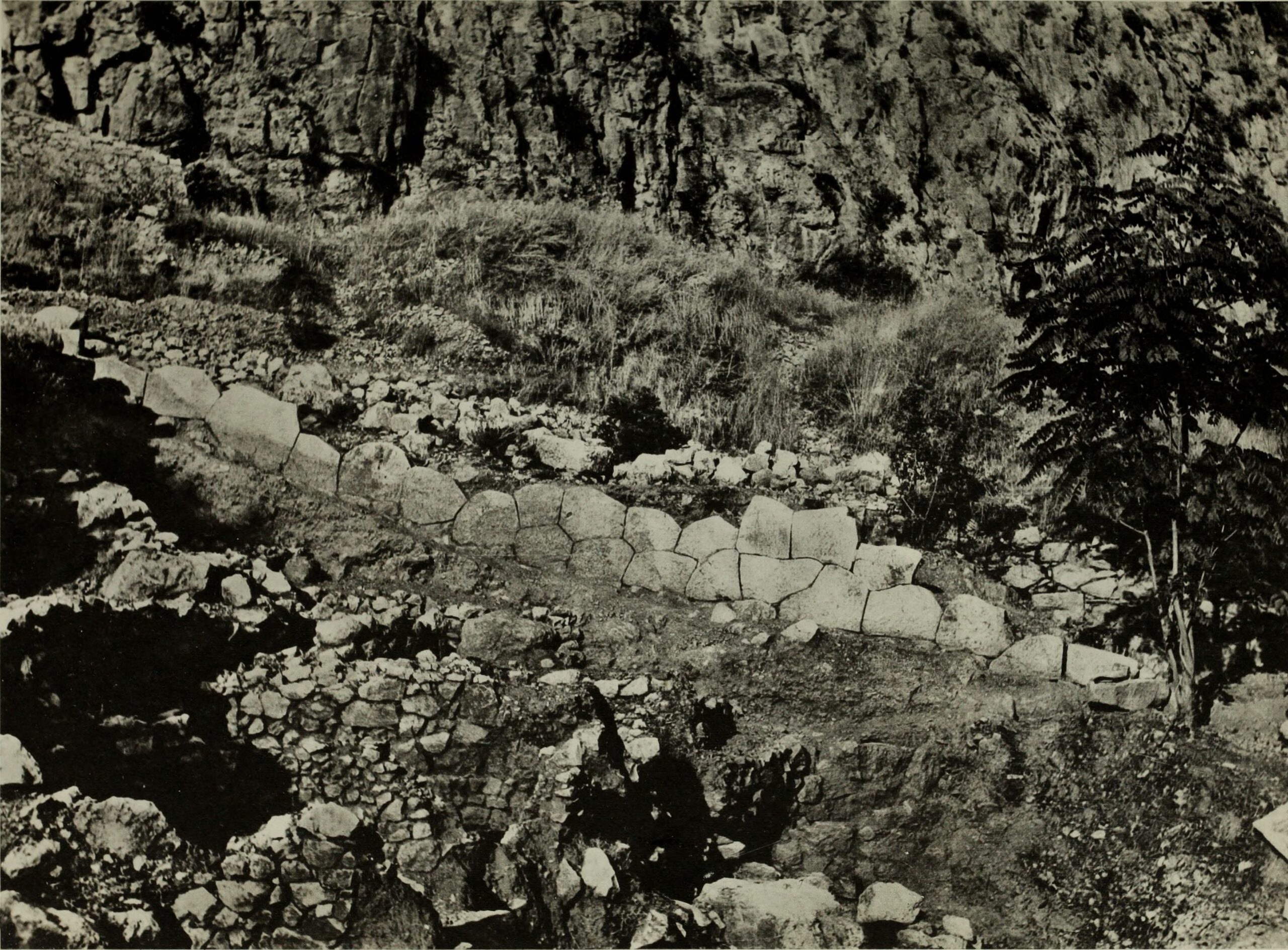 Delphes kazıları (1902): Siklop (Cyclopean) mimarisine özgü devasa taş bloklarla inşa edilen görkemli ve karakteristik yapı.