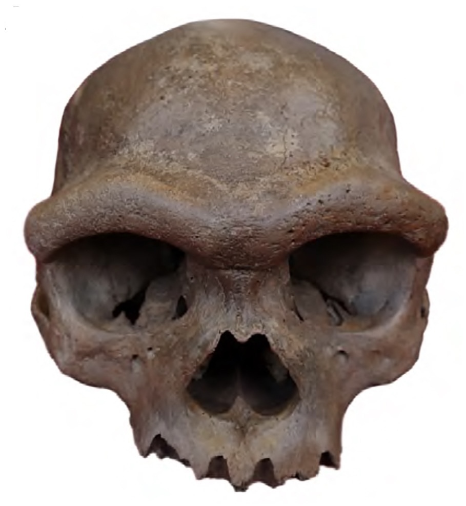Denisovalılar illustration