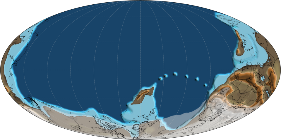 Ediacaran dönemi Nedir?