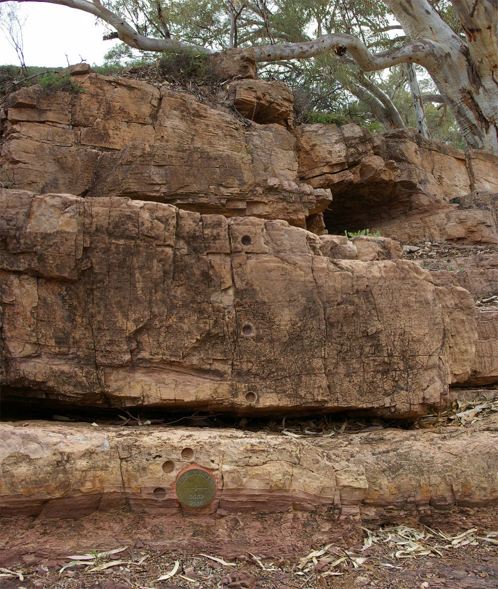 Ediacaran dönemini tanımlayan ve görselin alt kısmında bronz bir disk olarak yer alan altın çivi (golden spike) gösterimi.