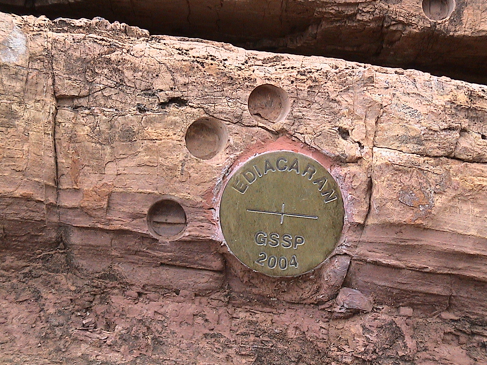 Ediacaran döneminin tabanında yer alan ve küresel sınır stratotip noktası (GSSP) olarak tanımlanan altın çivi işaretlemesi.