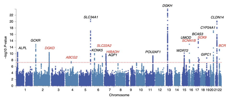 Gwas Nedir?