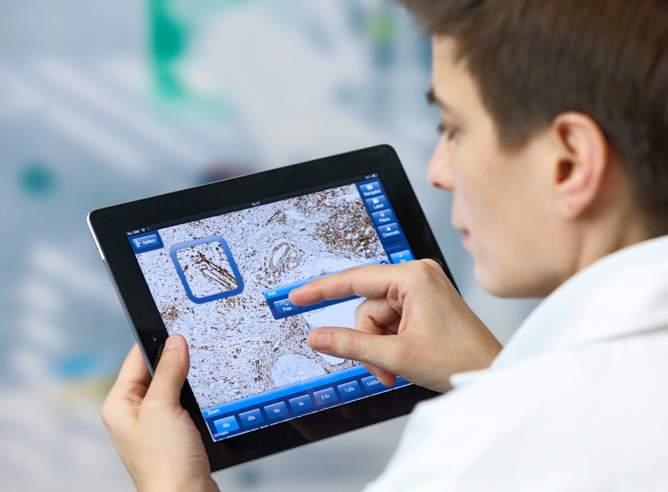 ZEN browser for virtual microscopy by ZEISS lets you access your microscopy imaging from anywhere...