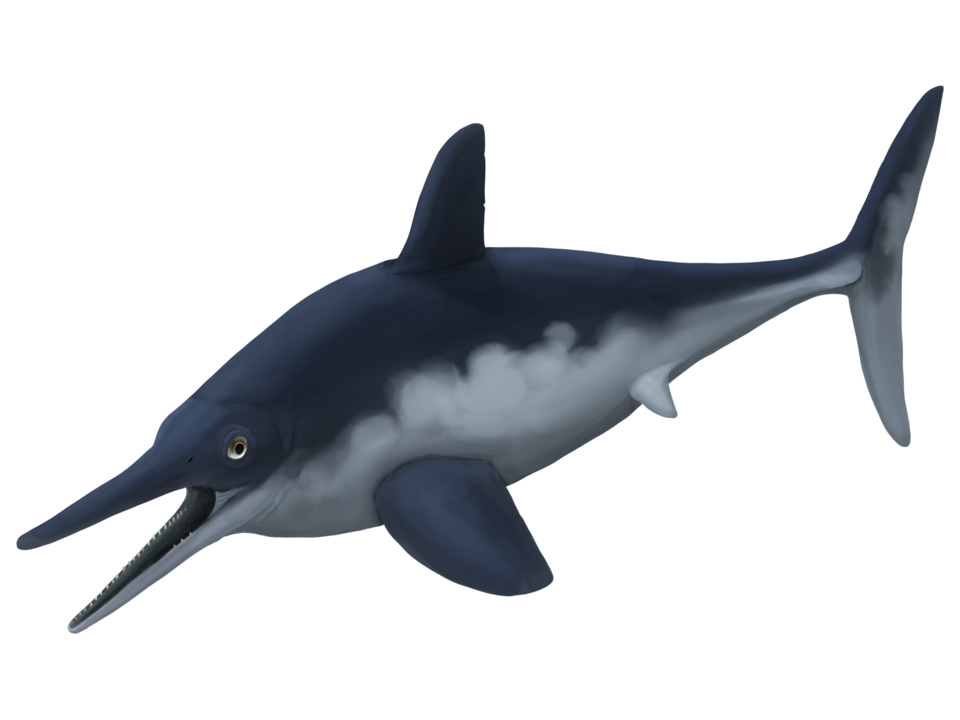 Ichthyosaur Nedir?