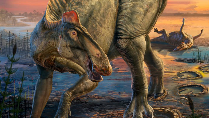 Tiranosaurus rex’in antik Wyoming’daki ilginç avı ortaya çıktı: Kaz ayaklı dinozorları parçaladı.
