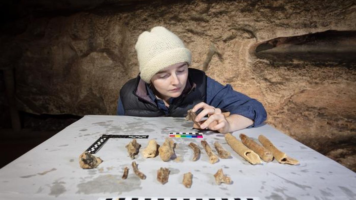 Deniz Altı Mağaralarındaki Fosiller, Antik Çağ Dev Canlılarına Dair Yeni İpuçları Sunabilir