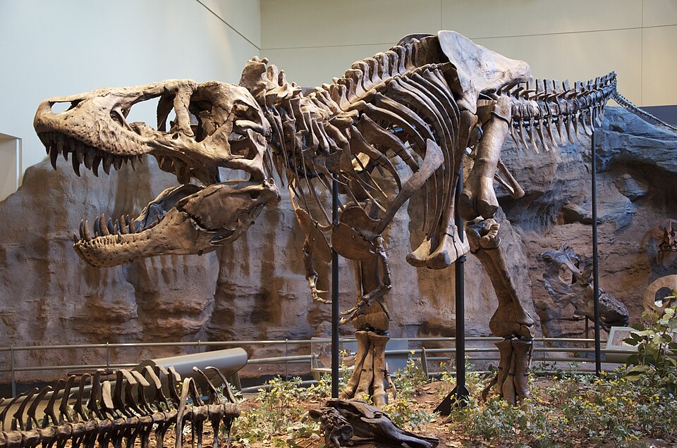 Paleoclimatology Nedir?