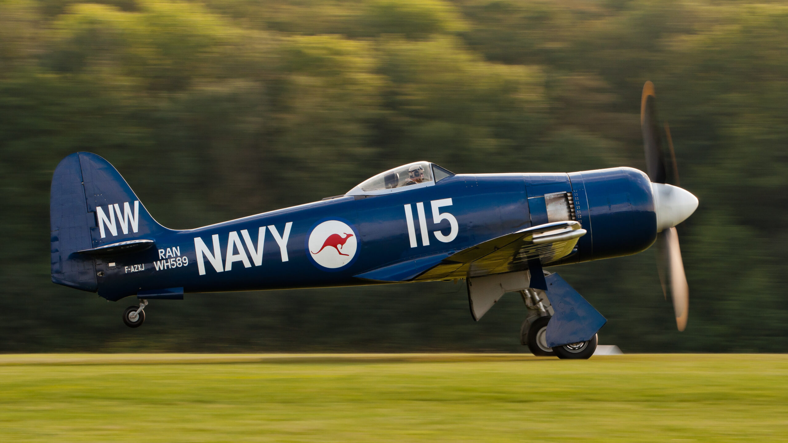 Wright Centaurus XVII motorlu 1944 yapımı Hawker Sea Fury FB 10 (reg. F-AZXJ, cn 37733) ile itki destekli iniş.