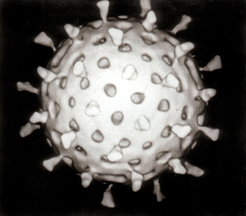 Rotavirus Nedir?
