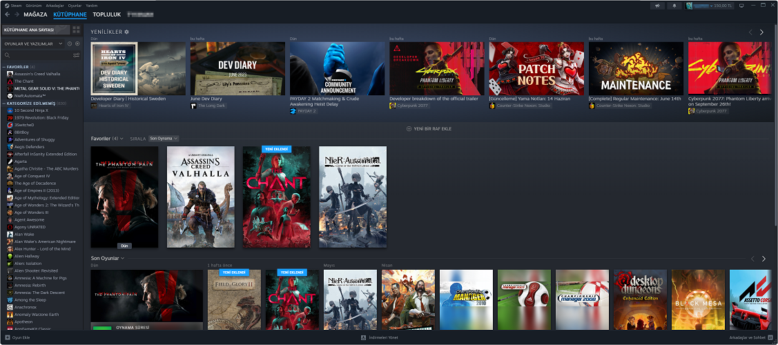 Steam detay görseli