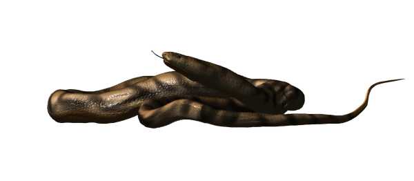 Dinylisia