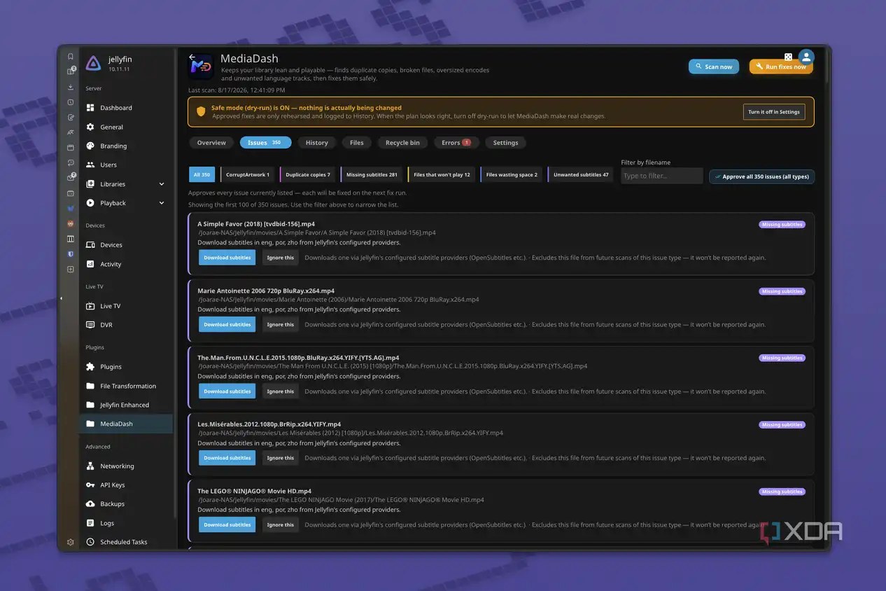 Screenshot of the MedaDash dashboard showing a list of issues to be fixed with a Jellyfin library