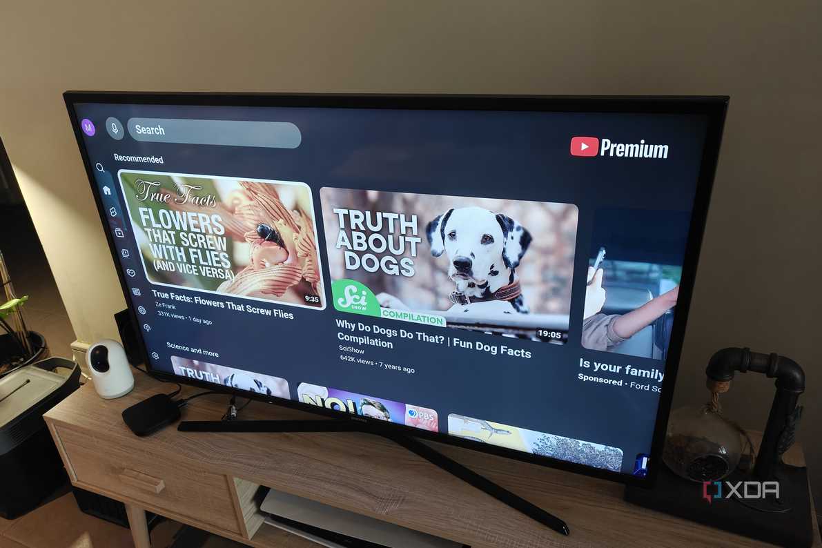 the youtube app on a television