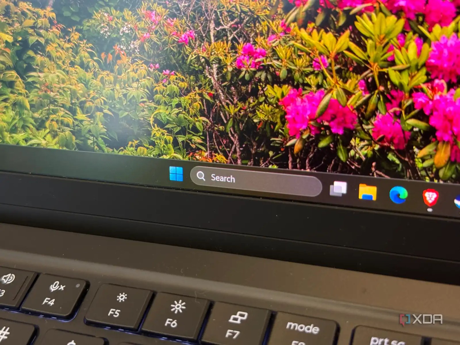a photo of the search bar in Windows 11