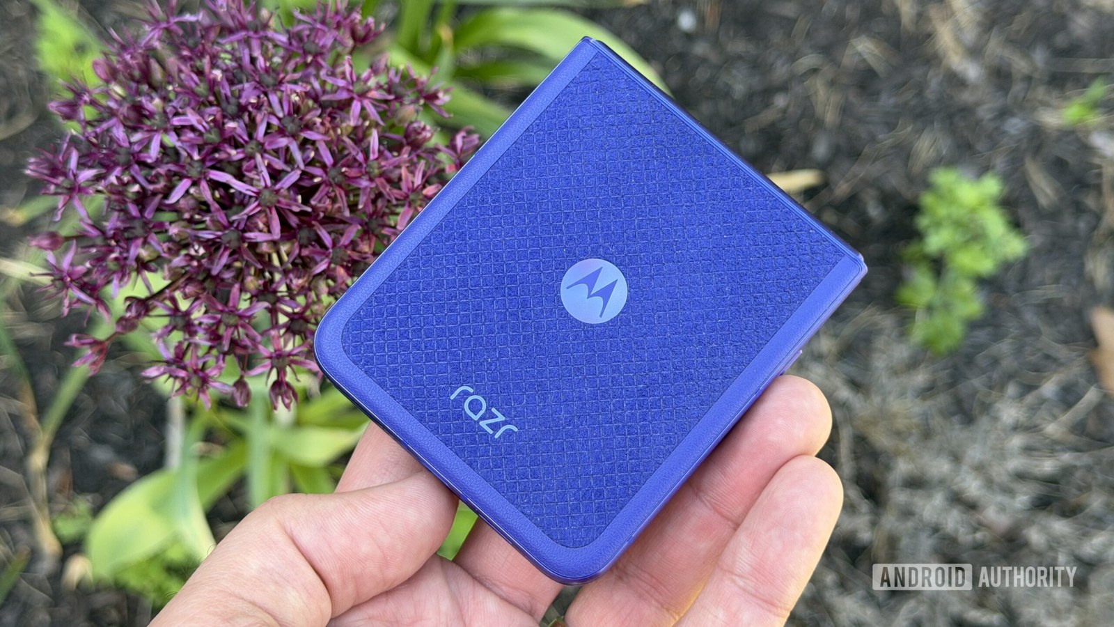 Motorola Razr Ultra 2026 purple flower